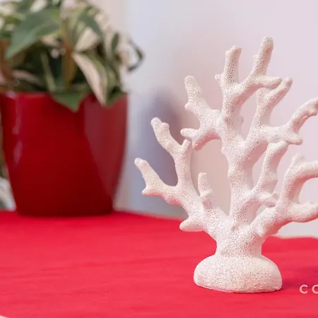 Coraline House Canteras شقة