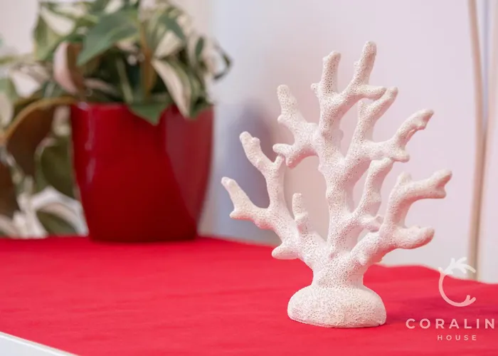 Coraline House Canteras Appartement